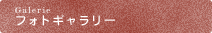 フォトギャラリー